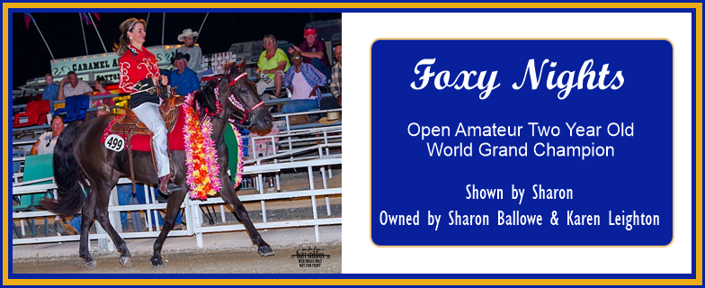 Foxy Nights, Open Amateur Two Year Old World Grand Champion