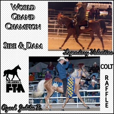 Mid America Colt Raffle