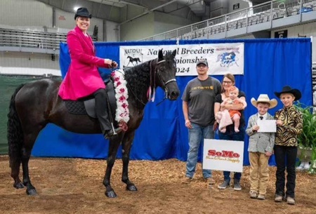 Southgait's Savannah Nights