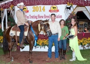 Wild West, Shown by: Jarrod Freeman - 2014 World Champion 5 Yrs & Older Stallion