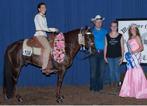 Mid America Amateur 3 Year Old Champion Shown by: Danielle Anthony Owned by: Adam Jokisch