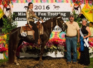 Open Am 3 Year Old Futurity Mares Champion
